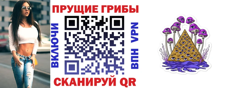 Псилоцибиновые грибы Cubensis  МЕГА рабочий сайт  Нестеров 